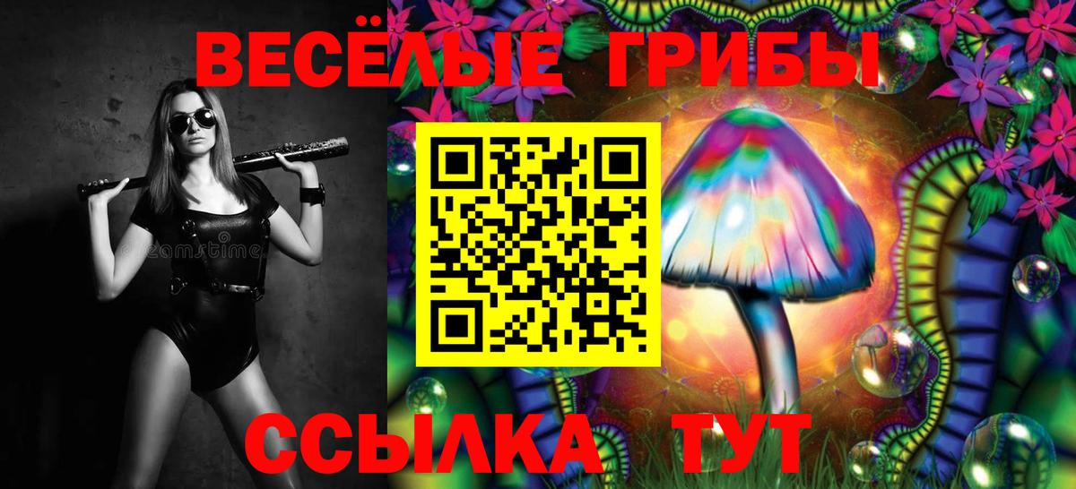 Дербент  Псилоцибиновые грибы мицелий  Вход с VPN 
